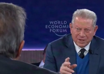 Al Gore Wants To Pay Farmers To Grow Less Food To Fight Climate Change