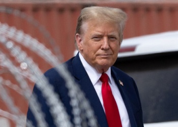 Breaking Down Trump’s 2025 Immigration Enforcement Numbers