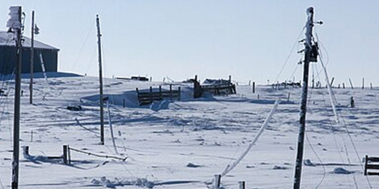 DAVID BLACKMON: Will Texas Grid Survive Looming Winter Storm?