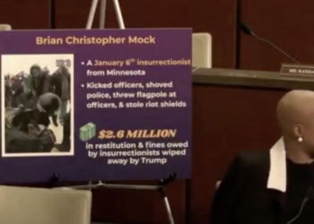 Democrat Rep Screams At Top Of Her Lungs As Somali Fraud Hearing Descends Into Mayhem