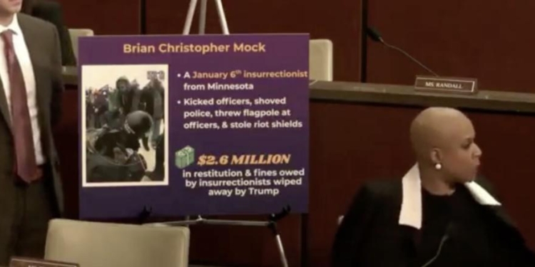 Democrat Rep Screams At Top Of Her Lungs As Somali Fraud Hearing Descends Into Mayhem