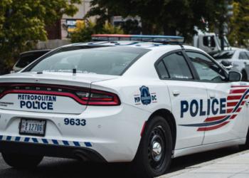 Feds Shoot Two In Portland