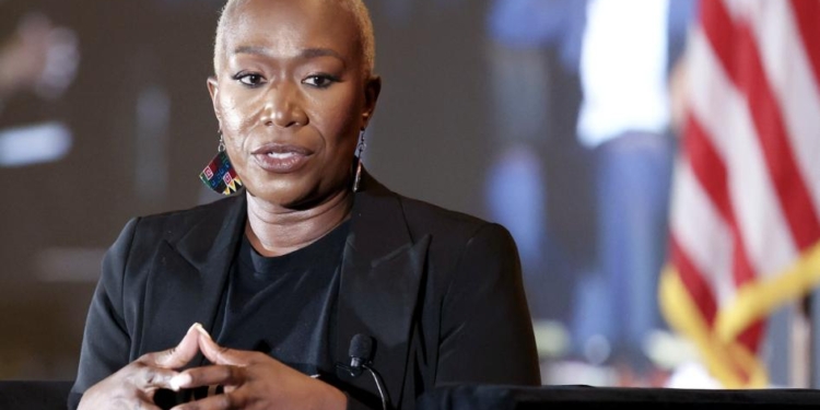 Joy Reid Comments On ICE Incident During Interview With Angela Yee