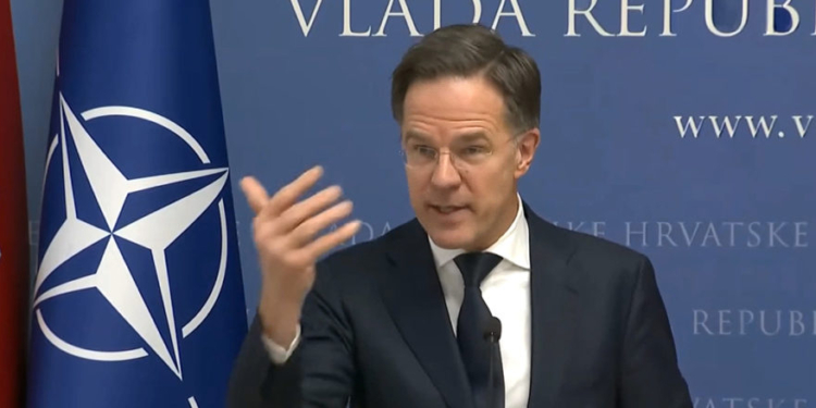 ‘Not A Crisis’: Trump-Loving NATO Boss Shrugs Off Europe’s Greenland Fears