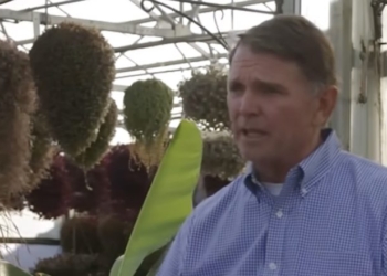 Trump-Backed Thomas Massie Opponent Ed Gallrein Raises Massive Sum To Close 2025