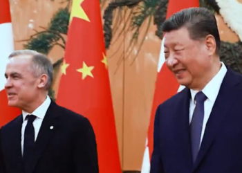 Trump Warns Canada ‘Governor’ His China Chickens Will Come Home To Roost