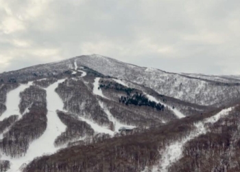 Video Captures Skier and Dog Caught In Mountain Avalanche