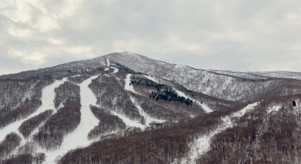 Video Captures Skier and Dog Caught In Mountain Avalanche