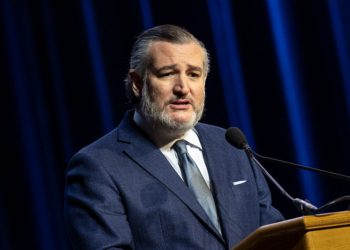 Cruz Disputes Calling Newsom ‘Illiterate’