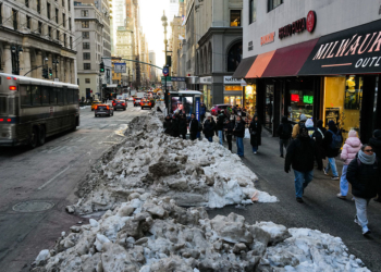 NYC Sidewalks Turn Into Dog-Poop Minefields After Winter Storm