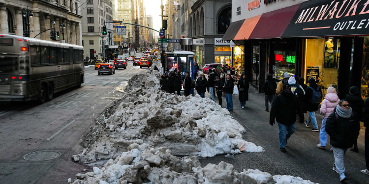 NYC Sidewalks Turn Into Dog-Poop Minefields After Winter Storm