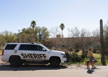 Bongino Offers 3 Scenarios in Guthrie Case