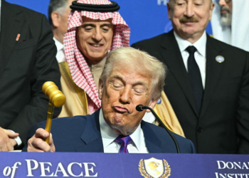 Life, Death, and the Dance of Politics