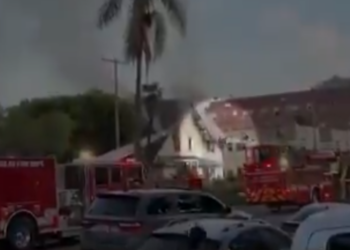 Firefighter Survives Scary Ladder Fall During LA House Blaze