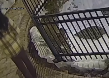 Care Facility Worker Charged in Resident’s Death, Trooper Shooting