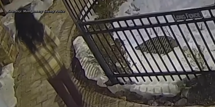 Care Facility Worker Charged in Resident’s Death, Trooper Shooting