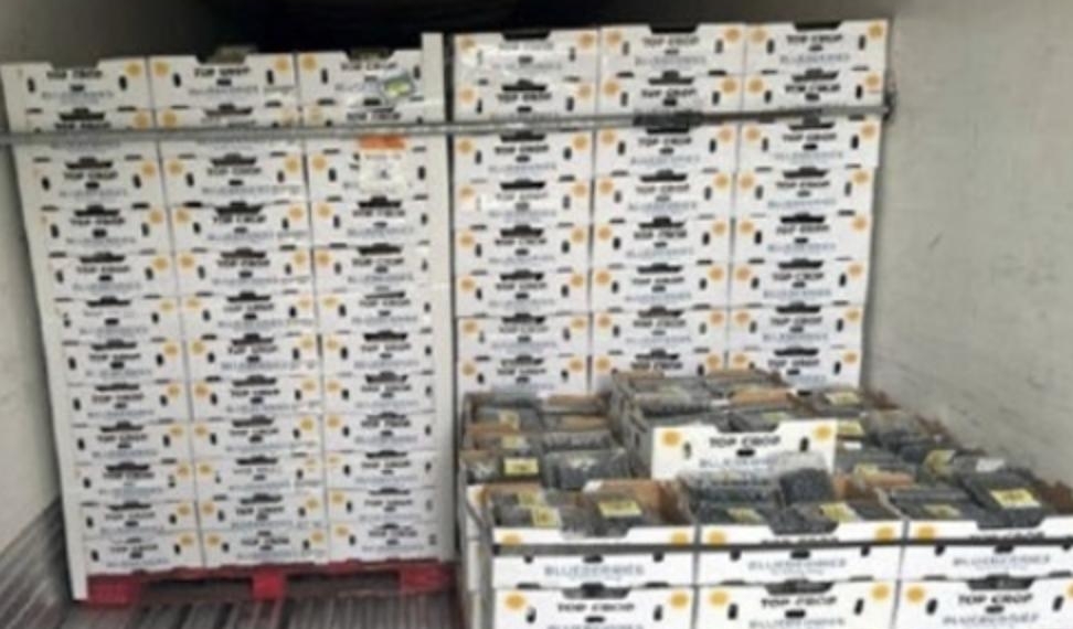 Authorities Allege Man Stole 33,000 Pounds of Frozen Snow Crab and Almost Half A Million In Designer Cologne