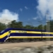California High Speed Rail Boondoggle Chief Nabbed For Domestic Violence