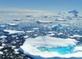 CARLA SANDS: What To Do About Greenland