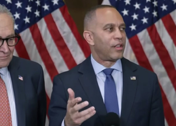 Dana Bash Points Out A Flaw In Hakeem Jeffries’s Shutdown Strategy