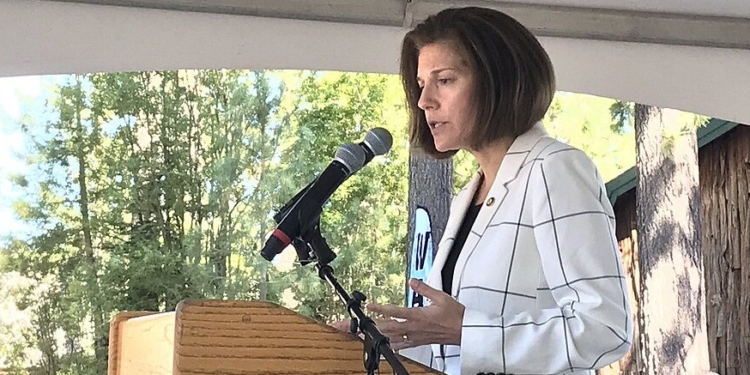 Democrat Says Her Party Needs To Secure Border But Still Axe ICE Funding