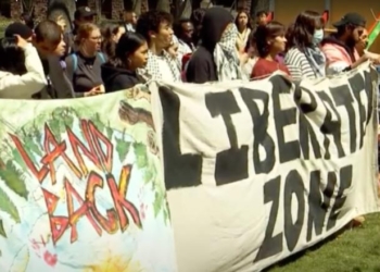 EXCLUSIVE: Anti-ICE Movement Paving Way For ‘Armed Militancy’ Among Leftists, Terrorism Analyst Warns