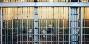 EXCLUSIVE: Anti-Prison Group Scrubs Activist’s Rant About Killing Jews