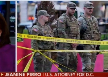 Jeanine Pirro Takes Fire After Jeanine Pirro Takes Fire After Second Amendment Comments Comments