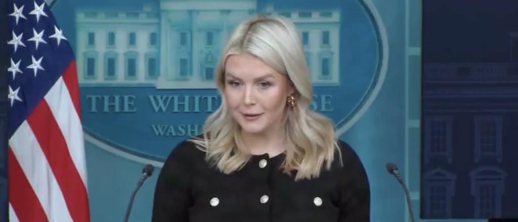 Karoline Leavitt Flabbergasted When Reporter Asks Her For Examples Of Trump Being Called Racist
