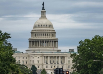 Senate Forces Swamp To Fully Adopt Trump’s Signature Policy