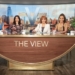 ‘The View’ Panelists Debate Over Trump During Black History Month