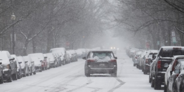 Trash And Wood Accounted For Major ‘Renewable Energy’ Share During Winter Storm, Reports Show