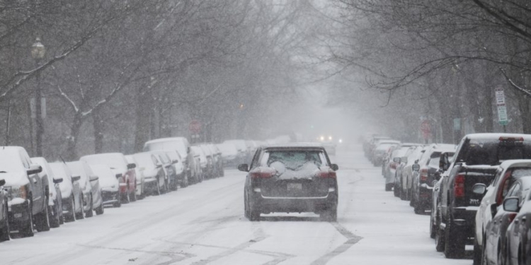Trash And Wood Accounted For Major ‘Renewable Energy’ Share During Winter Storm, Reports Show