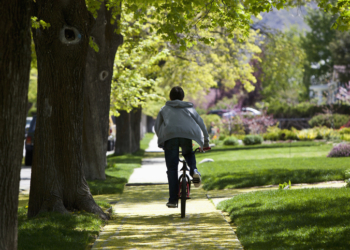 Mom Accused Of Kidnapping Son’s Bully Over Apology