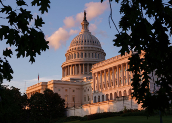 Shutdown Shenanigans: Defund the Chaos