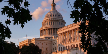 Shutdown Shenanigans: Defund the Chaos