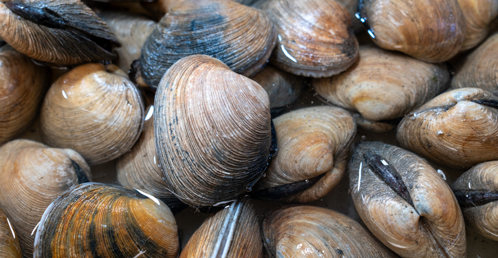 FDA Recalls Clams, Oysters Distributed to 9 States Over Norovirus Concerns