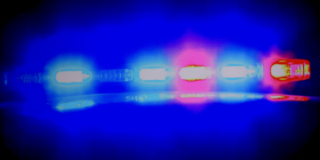 Virginia Mother Fatally Stabbed by Repeat-Offender Illegal Immigrant