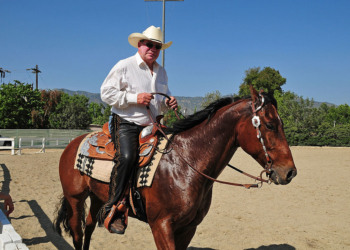 William Shatner Faces Surgery After Horseback Fall
