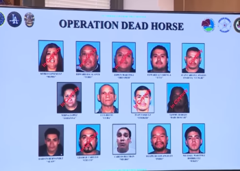 ‘Queen’ of Notorious LA Gang Arrested in Sweeping FBI Takedown