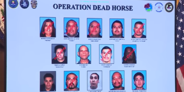 ‘Queen’ of Notorious LA Gang Arrested in Sweeping FBI Takedown