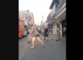 Tourist Brawl Outside Thai Bar Caught on Camera