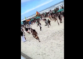 Watch: Gunfire Sparks Panic As Spring Break Crowds Flee Florida Beach