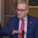 Chuck Schumer Makes Massive Gaffe While Ramping Up Hysteria Against Voter Integrity Bill