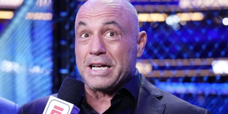 Joe Rogan Discusses Jim Crow Voter ID Comparison