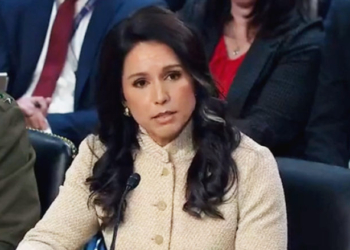 Jon Ossoff Grills Tulsi Gabbard On Whether Iran Posed Imminent Threat