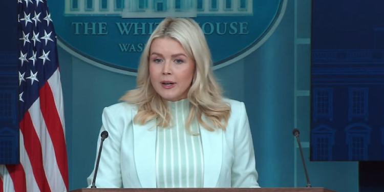 Karoline Leavitt Asked If Deportations Will Decline While ICE Does TSA Work