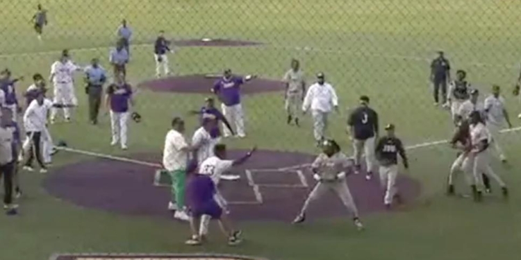 Large Fight Breaks Out During College Baseball Game