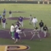 Large Fight Breaks Out During College Baseball Game
