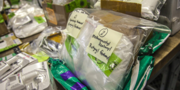 MICHELE STEEB: Addiction Is A Disease — Policy May Finally Catch Up